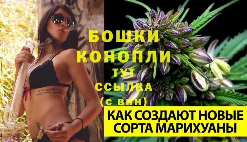 Конопля THC 21%  купить наркотик  KRAKEN как зайти  Ефремов 